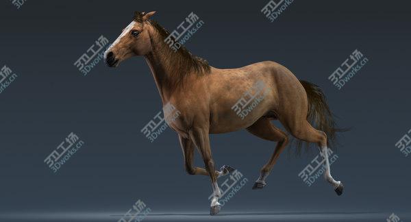 images/goods_img/20210312/3D Horse (Animated) model/4.jpg